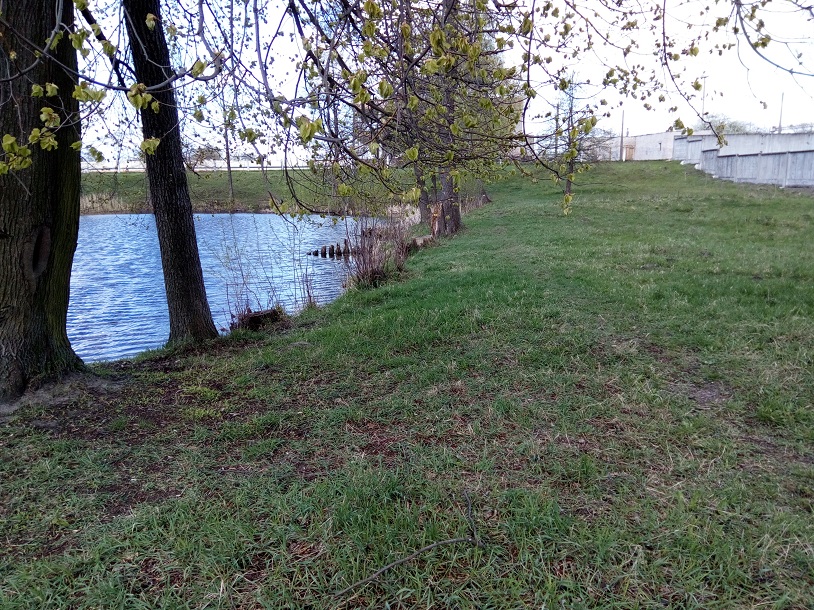 ОПИ Лунинецкого района