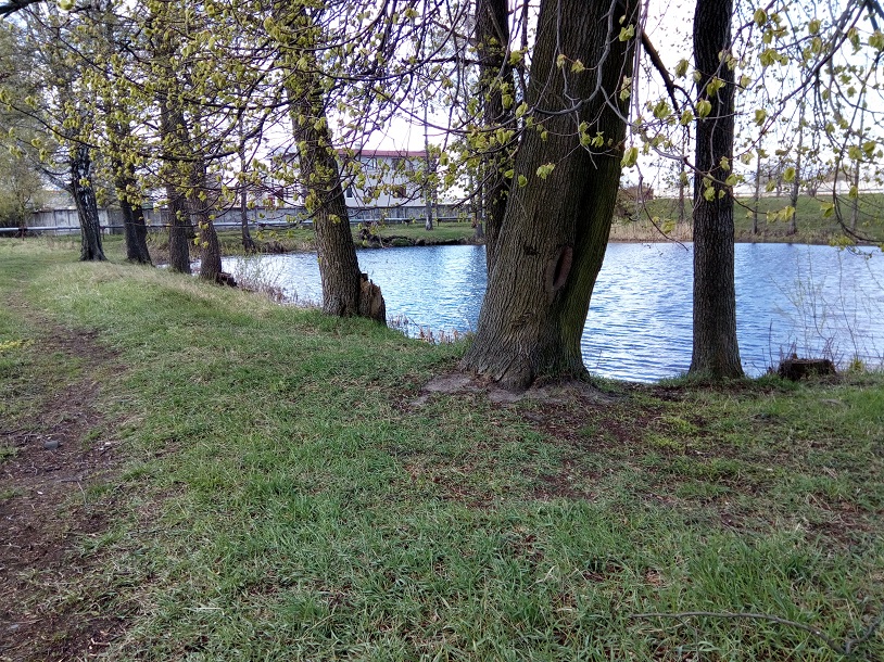 ОПИ Лунинецкого района