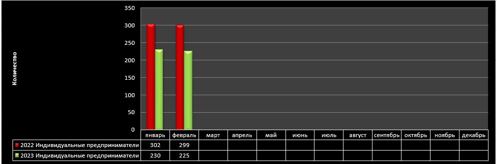 ИП февраль.JPG